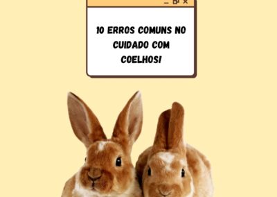 10 erros comuns no cuidado com COELHOS.
