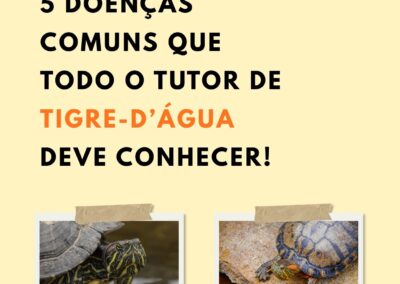 5 doenças comuns que todo o Tutor de TIGRE D’ÁGUA  deve conhecer.