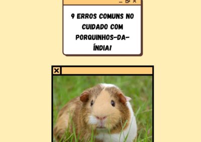 9 erros comuns no cuidado com PORQUINHOS-DA-ÍNDIA.