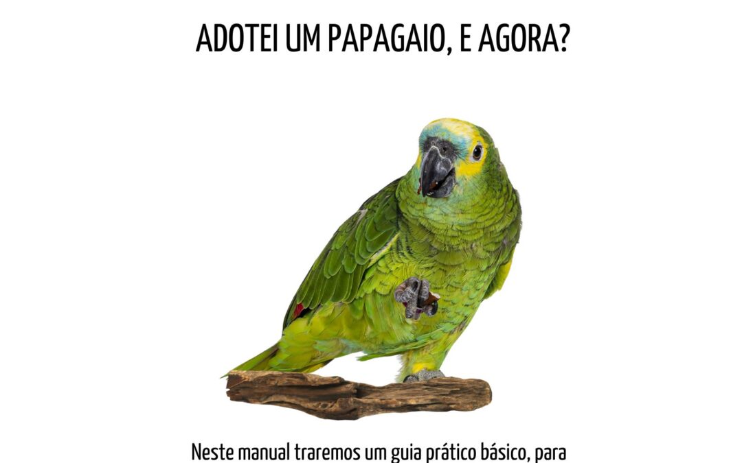 Adotei um PAPAGAIO, e agora?