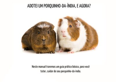 Adotei um PORQUINO-DA-ÍNDIA, e agora?