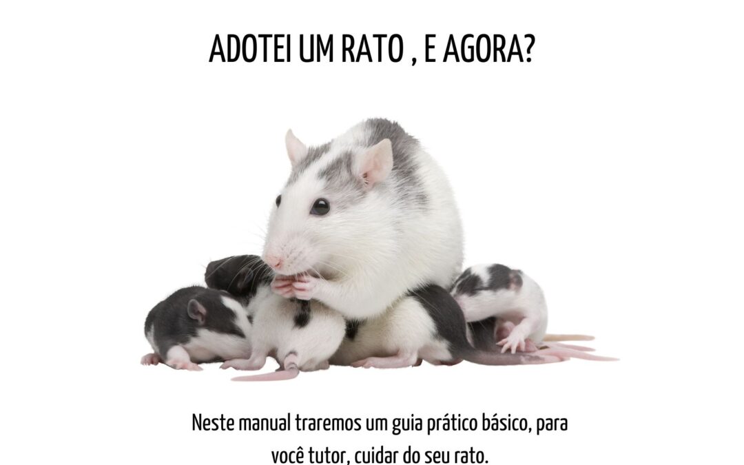 Adotei um RATO, e agora?