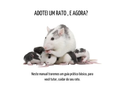 Adotei um RATO, e agora?