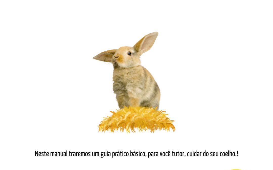 Adotei um COELHO! e agora?