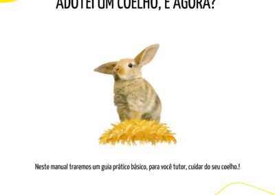 Adotei um COELHO! e agora?