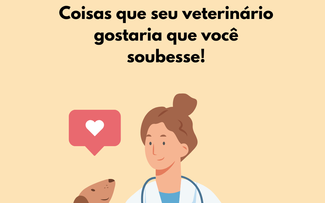 Coisas que seu veterinário gostaria que você soubesse!