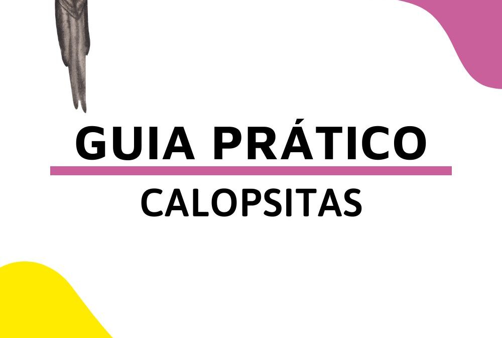 Guia Prático – Calopsitas