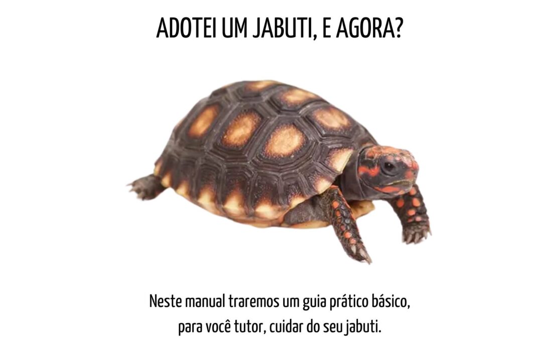 Adotei um JABUTI, e agora?