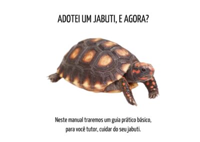 Adotei um JABUTI, e agora?
