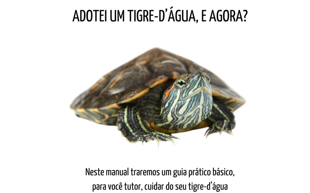Adotei uma Tartaruga! e agora?