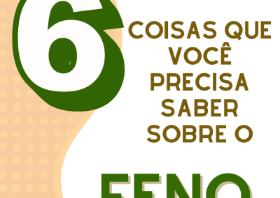 6 Coisas que você precisa saber sobre o Feno
