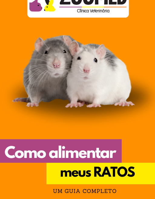 Como Alimentar meus Ratos