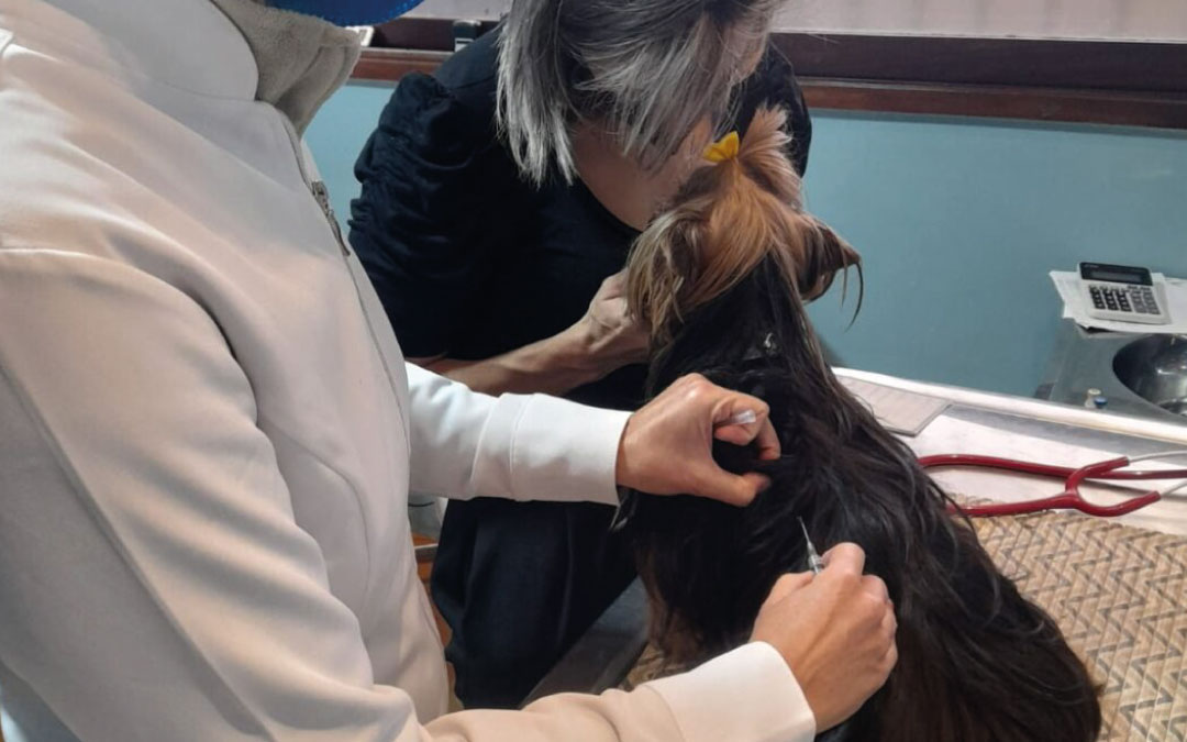 Vamos falar de vacina?!