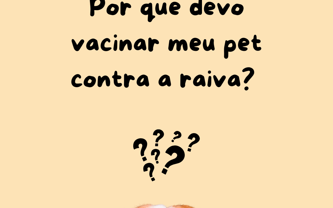 Por que devo vacinar meu pet contra a raiva?