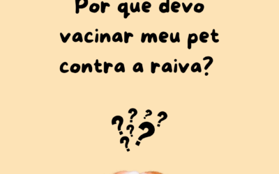 Por que devo vacinar meu pet contra a raiva?