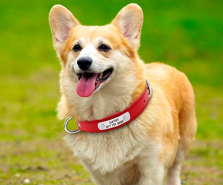 Placa de Identificação