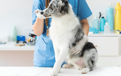 Tumor de Mama